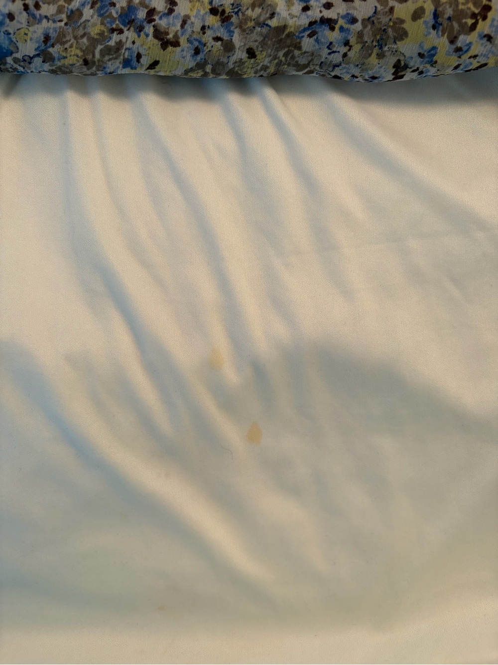 AB Studio Floral Tie-Neck Blouse in Blue, Brown, and Yellow - Picture 6 of 6
